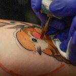 tattoo close up oiseau orange couleur