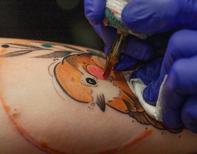 tattoo close up oiseau orange couleur