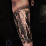 tattoo réaliste noir et gris elephant
